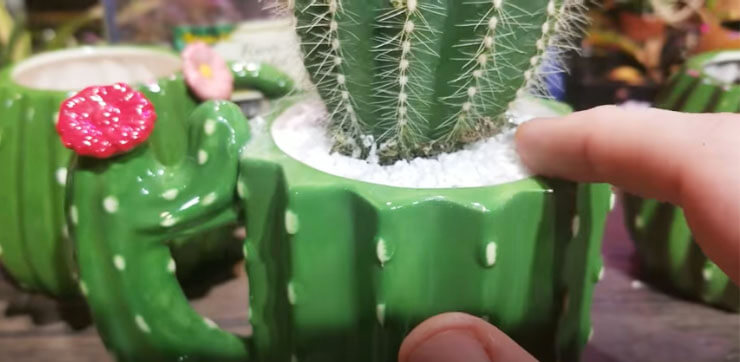 DIY Coffee Mug Planter Ideas - Step 3