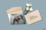 Wedding Thank You Card Wording